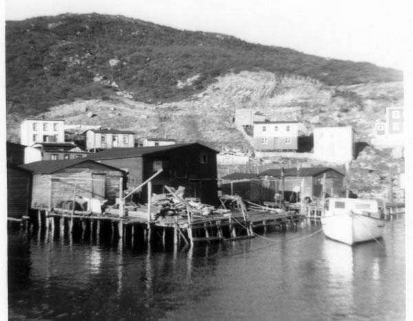 295: Red Island harbour. Gerald and Fred Lambe's longliner at right, stage at left. [courtesy of Ambrose McCarthy]
